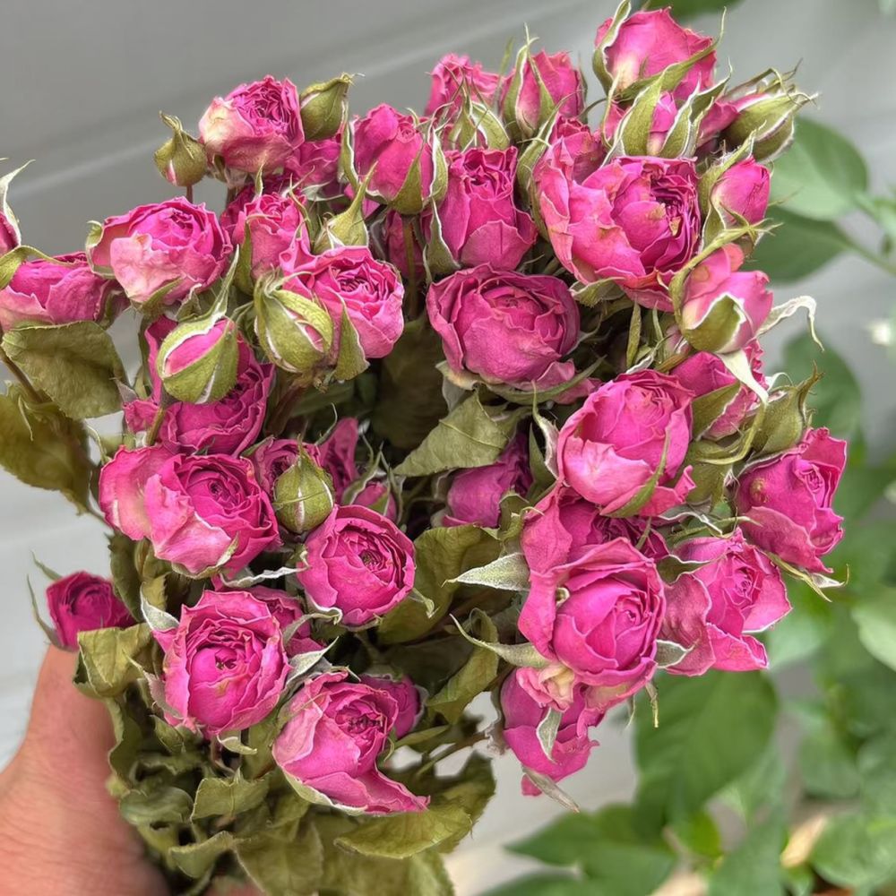 Epoksi Reçine Sanatı, Scrapboo - Resin Art Rose incelemesi ve fiyatı