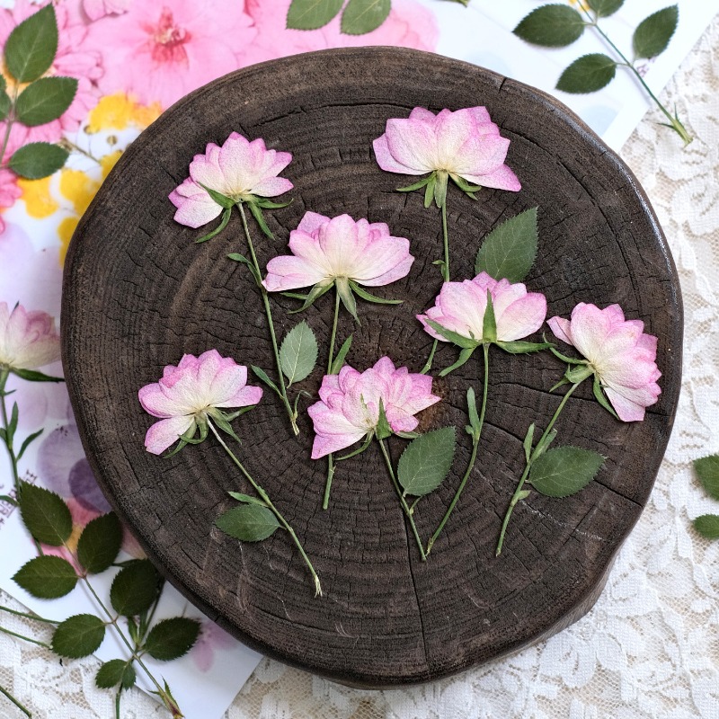 12 adet, Telefon Kılıfı DIY Pe - Resin Art Baby incelemesi ve fiyatı